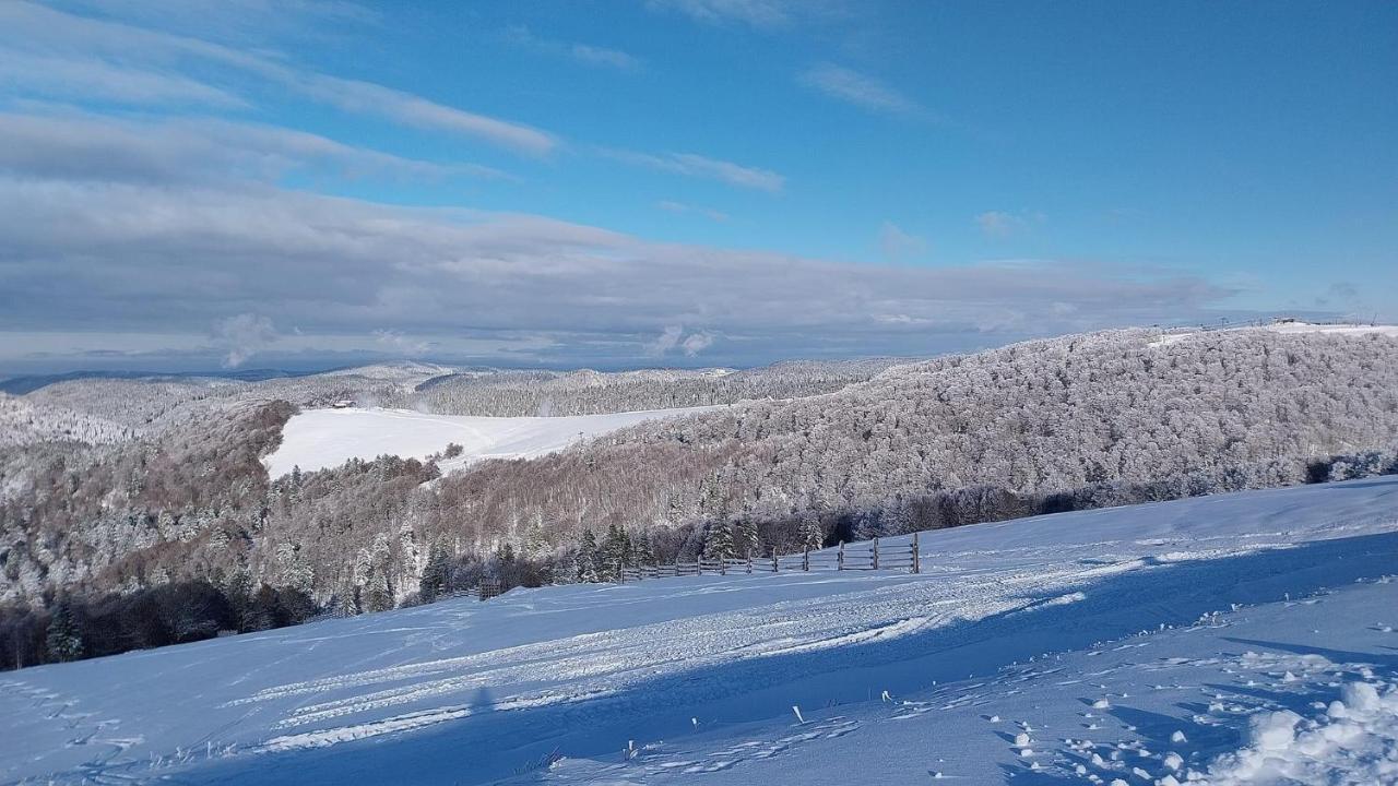 Grand'Roche Leilighet Cornimont Eksteriør bilde